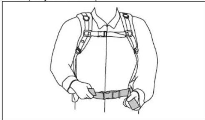 HUSQVARNA 543 RBX - To adjust the harness - 1