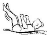 Berg Talent 300 - Rugsprong - 14