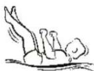 Berg Flatground Champion 430 - Index - 9