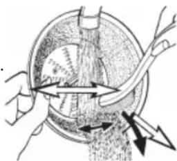 CLATRONIC AE 3666 - Tip - 1