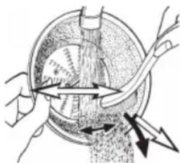 CLATRONIC AE 3666 - Tip - 1