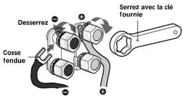 SONY SSM9ED - Remarques sur les raccordements - 2