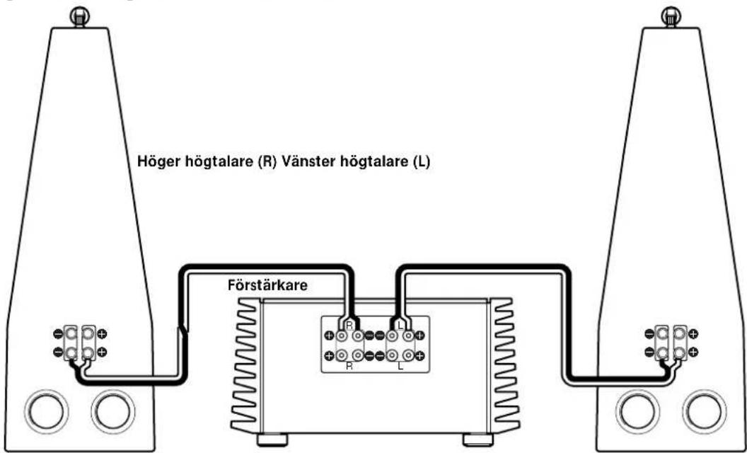 Höger högtalare (R) Vänster högtalare (L) Förstärkare R L R L