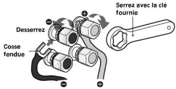 SONY SSM9ED - Remarques sur les raccordements - 2
