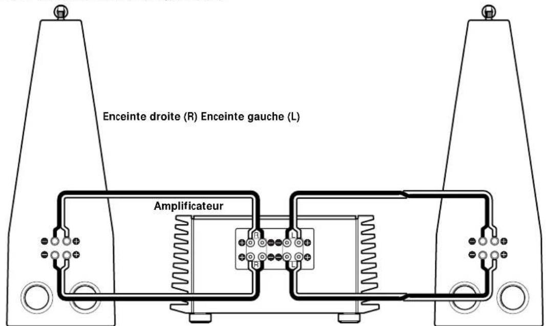 SONY SSM9ED - Remarques sur les raccordements - 3