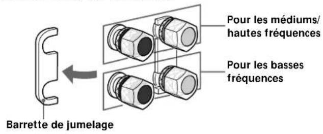 SONY SSM9ED - Remarques sur les raccordements - 1