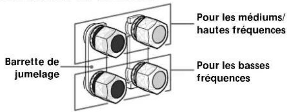 SONY SSM9ED - Remarques sur les raccordements - 1