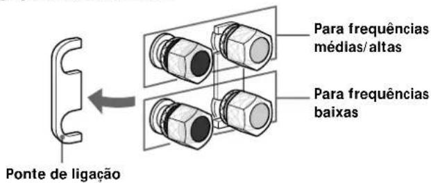 SONY SSM9ED - Notas sobre ligações - 1