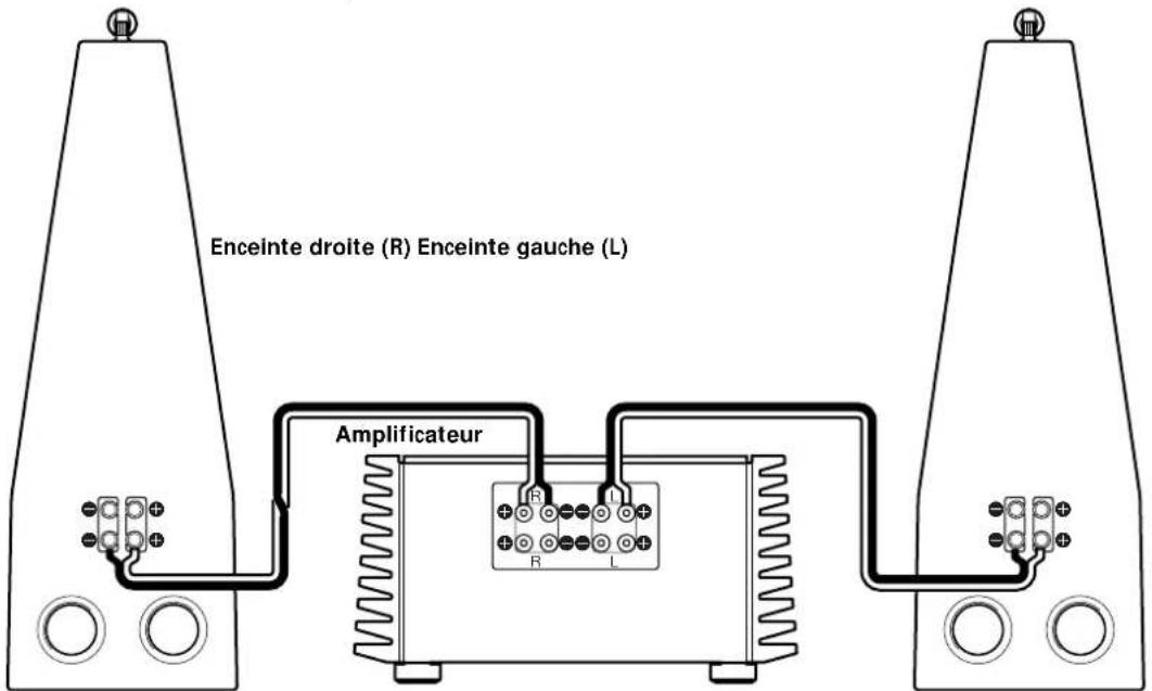 SONY SSM9ED - Remarques sur les raccordements - 3