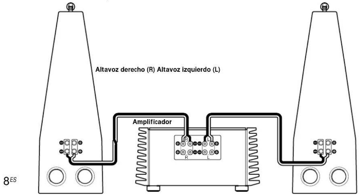SONY SSM9ED - Notas sobre las conexiones - 2