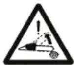 STIGA SP 316 - PERICOLO DI CONTRACCOLPO - 1