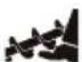 STIGA ST 5262 P - ETTEVAATUST! - 5