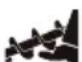 STIGA ST 7276 PH - ADVARSEL! - 5