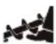 STIGA ST 7276 PH - ATTENZIONE! - 2