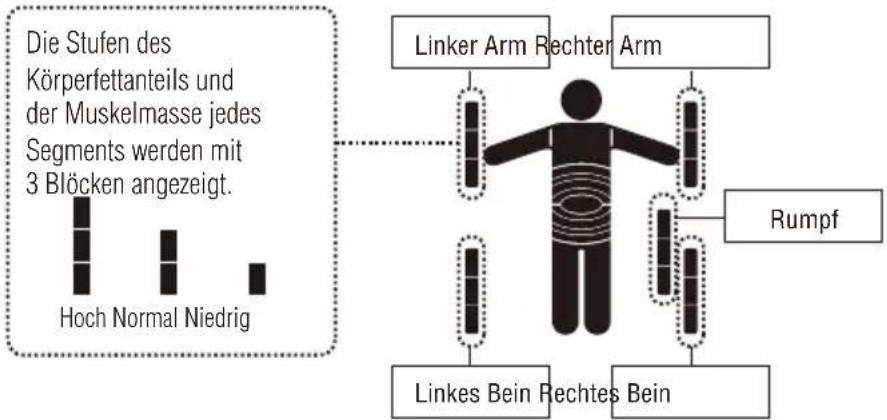 TANITA InnerScan V BC602 - WIE MAN DIE MESSWERTE DER EINZELNEN SEGMENTE ANZEIGT - 2