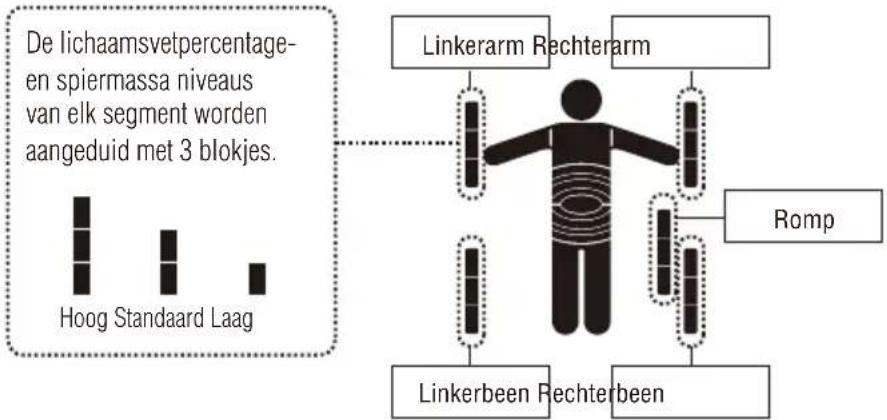TANITA InnerScan V BC602 - DE APARTE RESULTATEN VOOR SEGMENTEN BEKIJKEN - 2