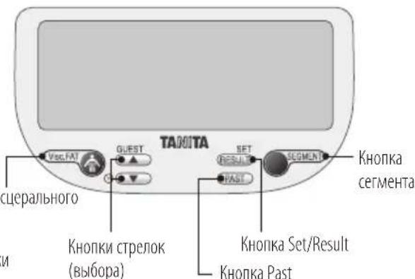 TANITA InnerScan V BC602 - I3mepuTeBna nlaTΦopMa - 3