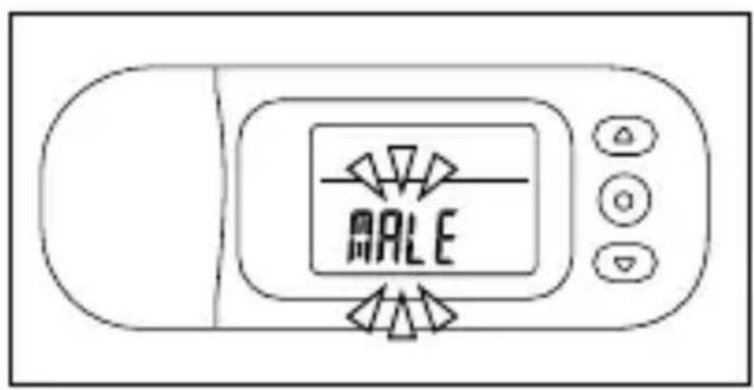 ARLE