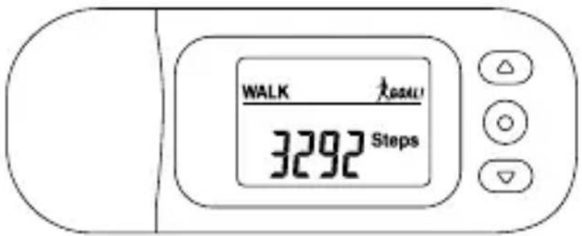 WALK 3292 Steps