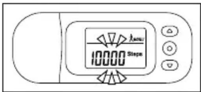 10000 Steps