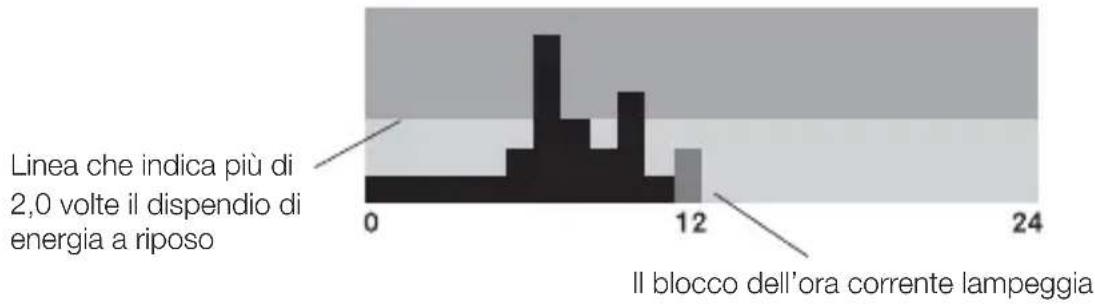 TANITA AM120E - 3) Grafico dell'attività fisica nelle 24 ore - 1