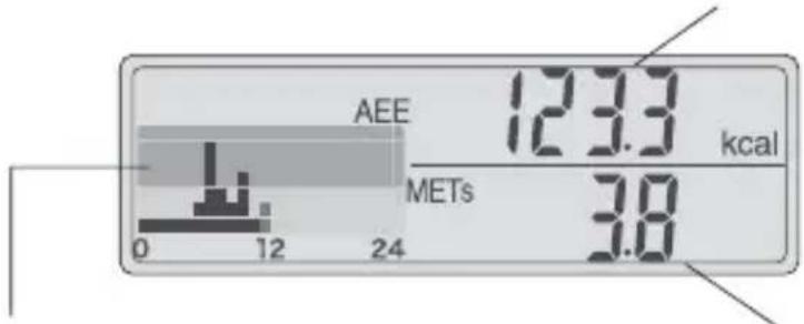 AEE 123.3 kcal METs 3.8 0 12 24
