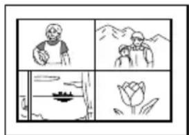 SONY FVP1 - To check the actual print image - 2