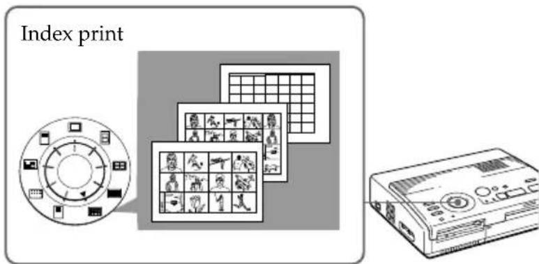 SONY FVP1 - Avant de commencer... - 1