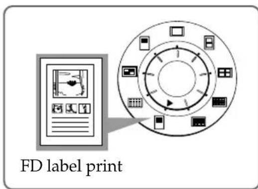 SONY FVP1 - Before you begin - 1