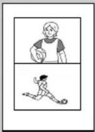 SONY FVP1 - Organigramme des différents modes d'impression - 2