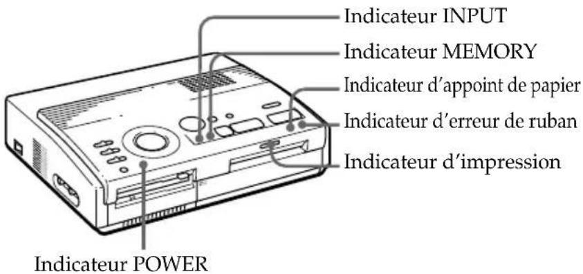 SONY FVP1 - Si les indicateurs sont allumés - 1