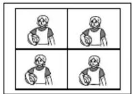 SONY FVP1 - Select the image. - 1