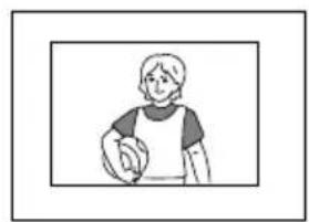 SONY FVP1 - プロットデイスケの画像をTPLINTする - 2