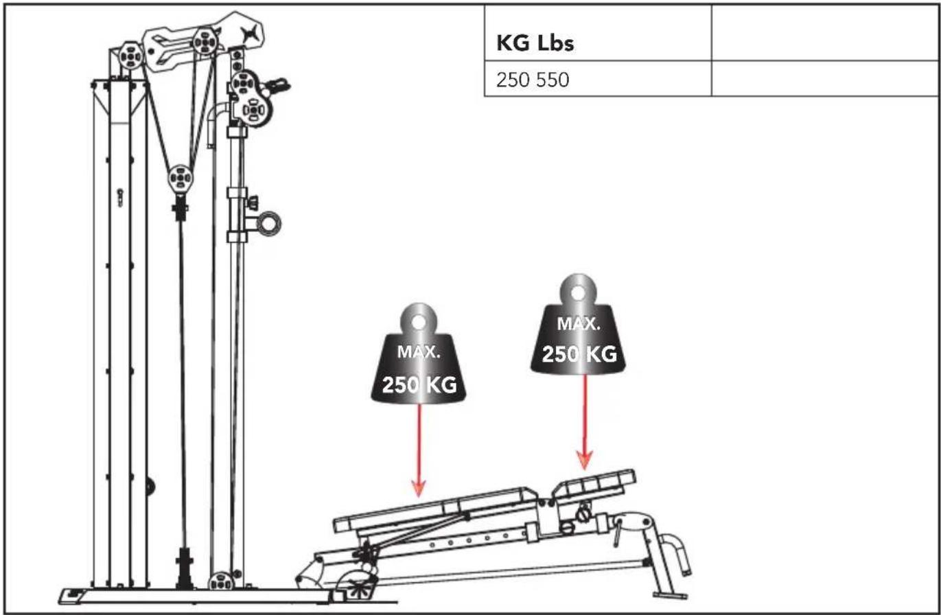 KG Lbs 250 550 MAX. 250 KG MAX. 250 KG