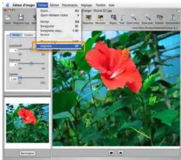 SAMSUNG SPP2020 - Double-cliquez sur l'image sélectionnée. - 2