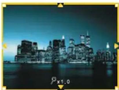 SAMSUNG SPP2020 - Appuyez sur le bouton zoom in. - 1