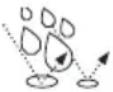 CRIVIT IAN 296941 - Dimensioni: - 3