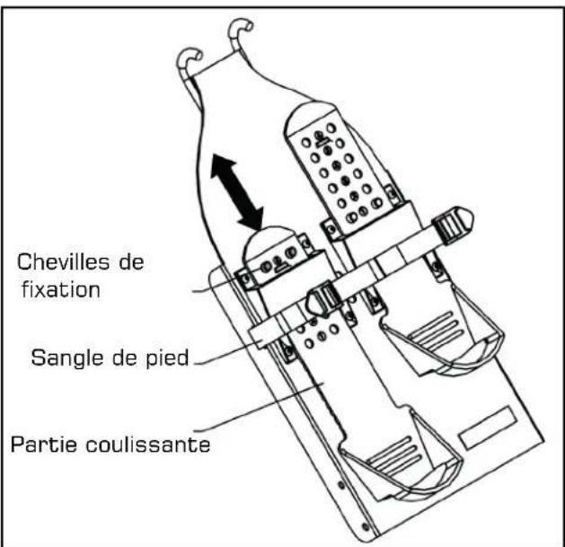 First Degree Fitness Apollo Pro V - AVERTISSEMENT : - 1
