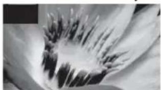 SONY Bravia KDL32WE615 - Beeldkwaliteit - 2