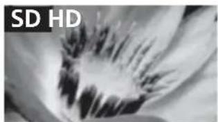 SONY Bravia KDL32WE615 - Beeldkwaliteit - 1