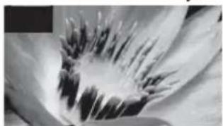 SONY Bravia KDL32WE615 - Qualità dell'immagine - 2