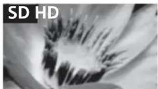 SONY Bravia KDL40WE665 - Bildqualität - 1