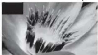 SONY Bravia KDL40WE665 - Bildqualität - 2