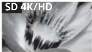 SONY Bravia KD85X9500B - Qualité d'image - 1