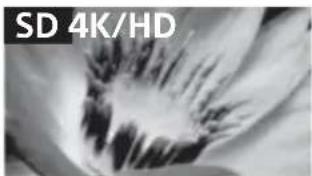SONY Bravia KD85X9500B - Chất lượng hình ảnh - 1