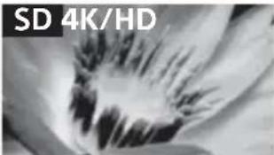 SONY Bravia KD85X9500B - 图像质量 - 1