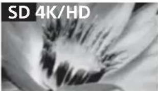 SONY Bravia KD65X9000B - Qualité d'image - 1