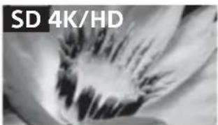 SONY Bravia KD65X9000B - Качество изображения - 1