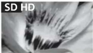 SONY Bravia KDL32R415B - Qualité d'image - 1