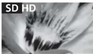 SONY Bravia KDL32R415B - Bildqualität - 1